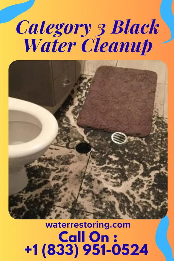 Category 3 Black Water Cleanup in Fincastle, VA