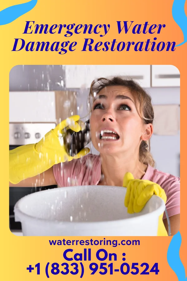 Emergency Water Damage Restoration in Fincastle, VA
