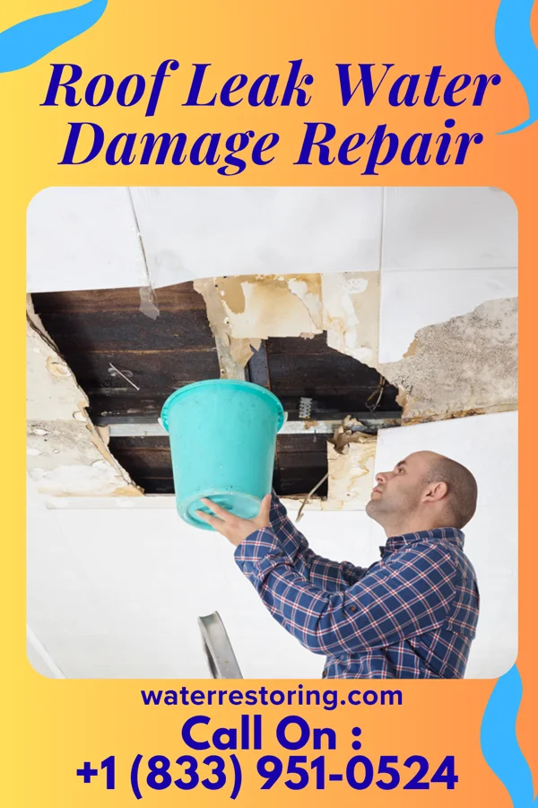 Roof Leak Water Damage Repair in Fincastle, VA