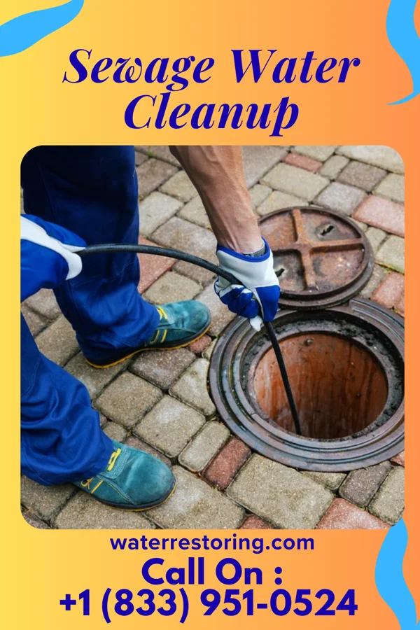 Sewage Water Cleanup in Fincastle, VA